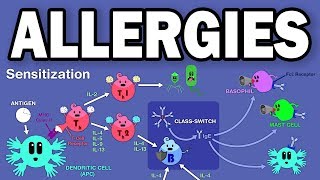 ALLERGIESTYPE I HYPERSENSITIVITY [upl. by Arihsaj]