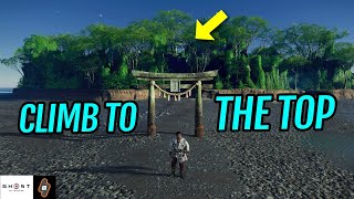 How to CLIMB Nakajima Shrine  Ghost of Tsushima Iki Island DLC [upl. by Ethban635]