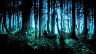 Frederic Chopin  Mysterious Forest [upl. by Uird893]