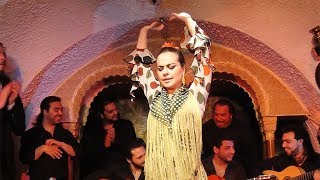 Flamenco Night at Tablao Cordobes in Barcelona Spain [upl. by Sev]