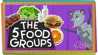 The 5 Fabulous Food Groups [upl. by Melak]