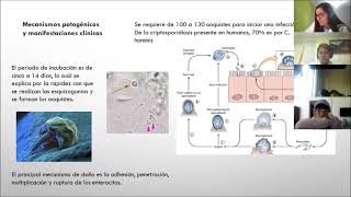 Cryptosporidium [upl. by Ajan583]