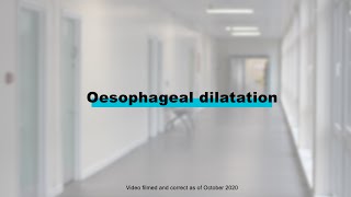 Endoscopy Procedures  Oesophageal Dilatation [upl. by Krm]