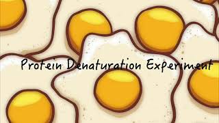 Protein Denaturation Experiment  Easy Biology Home Based Experiment part 2 [upl. by Anneirda665]