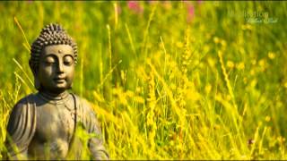 Zen Entspannungsmusik Wellness amp Regeneration Yoga Musik Tiefenentspannung amp Meditation [upl. by Alleuqram]