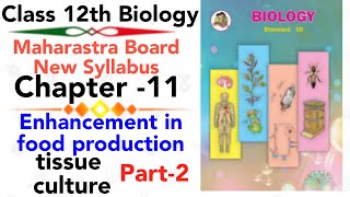 part2 ch11 Enhancement in food production class 12 biology HSC board new syllabus tissue culture [upl. by Marjana]