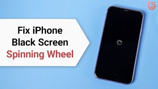 Top 2 Ways to Fix iPhone Spinning Wheel Black Screen Stuck without Data Loss iOS 13 [upl. by Madea]