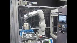 Mitsubishi Electric F Series Robot Machine Tending [upl. by Rimahs]