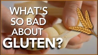 Is Gluten that bad for your health  The Science [upl. by Asiral]