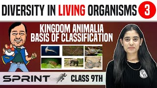 Diversity in Living Organisms 03  Kingdom Animalia  Basis of Classification  Class 9  NCERT [upl. by Beetner]