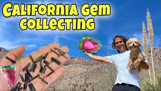 Tourmaline Mining in California  Gems of Pala [upl. by Elatnahc842]