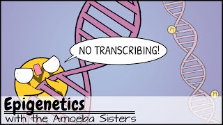 Epigenetics [upl. by Acacia]