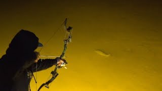 Insane BOWFISHING In Texas CARP MADNESS [upl. by Dogs]