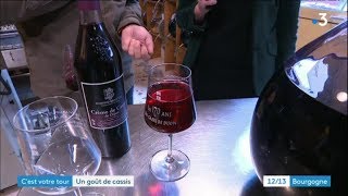 Cest votre tour  quotDu grain à la crèmequot  tout sur le cassis de Bourgogne [upl. by Veriee26]