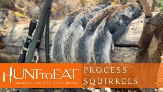 How to Process and Clean A Squirrel [upl. by Brainard]