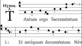 Tantum Ergo Sacramentum  Gregorian Chant [upl. by Ikciv]