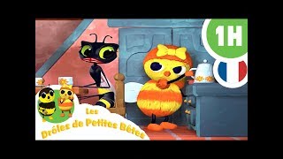 DRÔLES DE PETITES BÊTES  1 Heure  Compilation 03 [upl. by Madalena310]