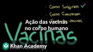 Ação das vacinas no corpo humano [upl. by Adnic830]