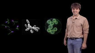 Karl Deisseroth Stanford  HHMI Development of Optogenetics [upl. by Yeslrahc]