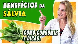 Benefícios da Sálvia  Para Que Serve Emagrece E o Chá DICAS [upl. by Nnylyoj]