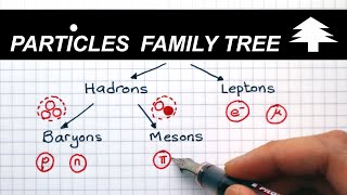 Classification of Particles  A Level Physics [upl. by Uhn]