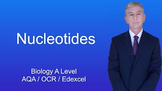 A Level Biology Revision quotNucleotidesquot [upl. by Yc]