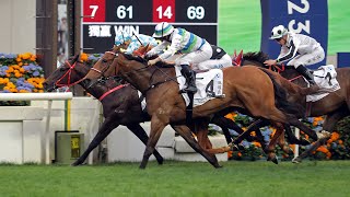 Hong Kong Derby 2023 Race Replay [upl. by Laeria878]