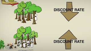 CostBenefit Discounting [upl. by Natsirt]