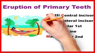 Eruption of Primary teeth  Made easy [upl. by Edahc]