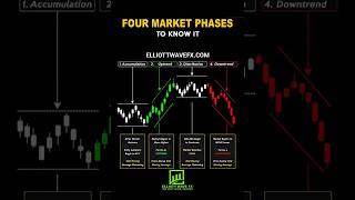 FOUR MARKET PHASES IN FOREX TRADING [upl. by Juline]