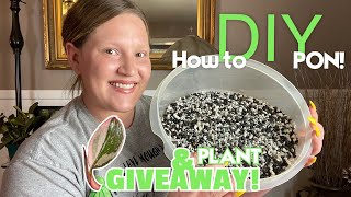 How to make Lechuza PON DIY PON Soil Free Substrate amp PINK PRINCESS PHILODENDRON GIVEAWAY [upl. by Nort]