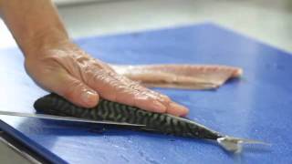 How To Fillet A Mackerel [upl. by Flann]