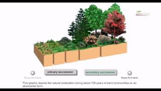 Ecological succession [upl. by Hoagland868]