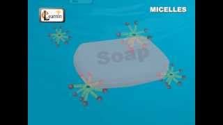 Soap Micelles Formation  Science [upl. by Esiuol709]