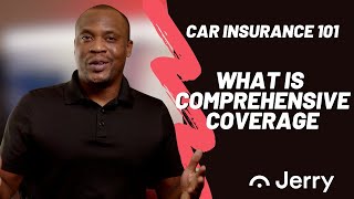 Comprehensive Insurance Explained  Car Insurance 101 [upl. by Yecrad]