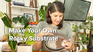 How to make your own lechuza pon DIY rocky plant substrate for soil free and hydroponic growing [upl. by Aicnerolf653]