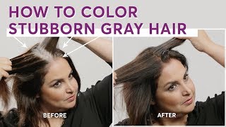 How to Color Stubborn Gray Hair [upl. by Annoyi]