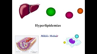 Pathophysiology of Hyperlipidemia [upl. by Luca]