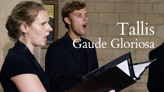 Thomas Tallis  Gaude Gloriosa  The Marian Consort [upl. by Campos]