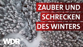 Wenn der Winter kommt  Heimatflimmern  WDR [upl. by Farhi122]