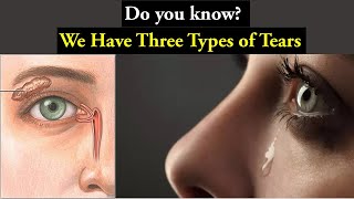 Types of tears and how they works [upl. by Lyford]