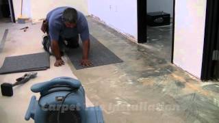 Carpet Tile Installation [upl. by Boony]