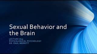 Sexual Behavior and the Brain [upl. by Massingill]