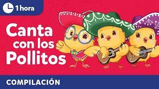 Sing with Los Pollitos  Bilingual Kids Songs in Spanish amp English  Cultural Traditions [upl. by Adaran433]