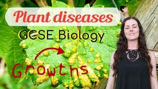 Plant diseases  GCSE Biology Revision for 2020 [upl. by Lotta]