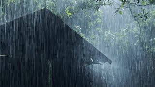 Sleep Instantly Within 3 Minutes with Heavy Rain amp Thunder on Ancient House in Foggy Forest at Night [upl. by Giffie]