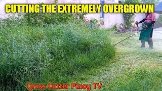 TRIMMING THE EXTREMELY OVERGROWN GRASS AND WEEDS USING BRUSH CUTTER  GRASS CUTTER [upl. by Earleen594]