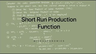 Short Run Production Function [upl. by Aicertap]