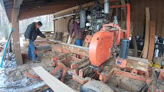 Cutting Ash Logs Using a Sawmill [upl. by Aruasor]