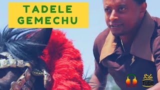 ETHIOPIA Tadele Gemechu  BarriHindarba Ethiopian Music Video 2017 [upl. by Beberg60]